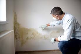 Trusted Wahiawa, HI Mold Removal Services Experts